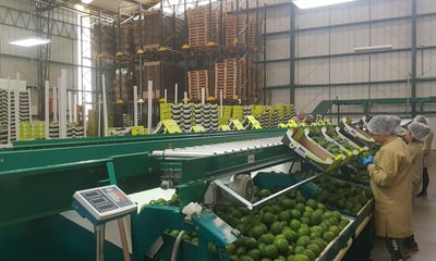 Estanterías flexibles