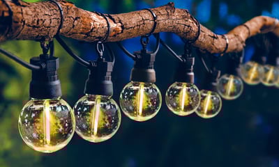 a bunch of light bulbs hanging from a branch of a tree