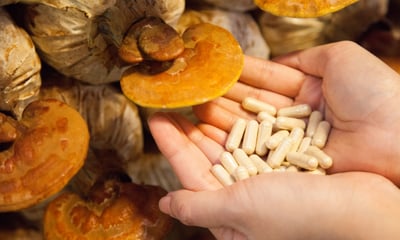 a person holding a handful of pills of mushrooms