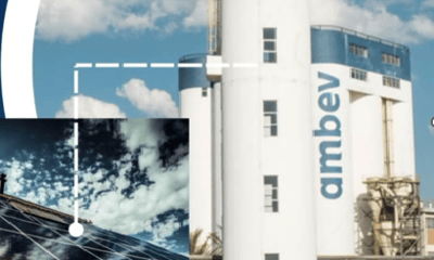 Alexandria e Ambev parceria