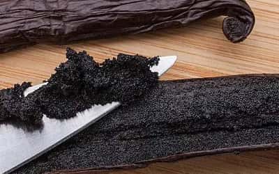 Grade A Indonesian vanilla beans