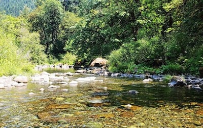 Powers, OR - relaxing in the Coquille River on a hot day