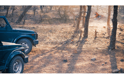 jeep in ranthambore national park
