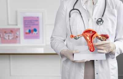 a doctor's hands holding a fake human organs in a medical office