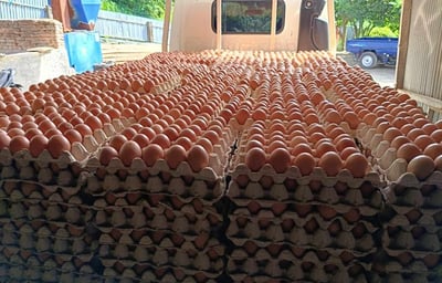 fresh table egg that have been loaded to be delivered to the indoegg customer by egg truck.