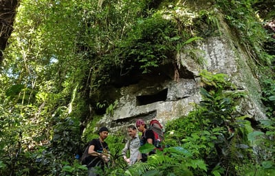 Bogani Explorer
