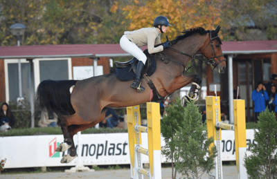 equitazione salto ostacoli
