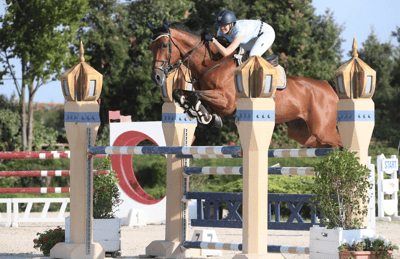 Equitazione salto ostacoli