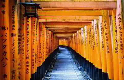 Japanese temple shrine torii fushimi inari taisha