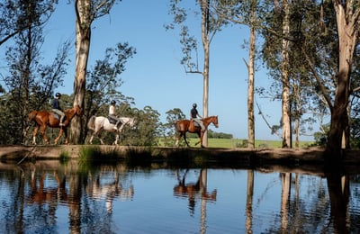 people horse riding on a detox retreat