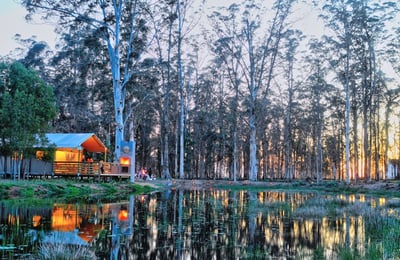 mountain and forest retreat, forest walks