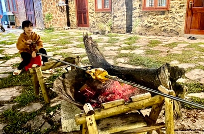 a child grilling the meet