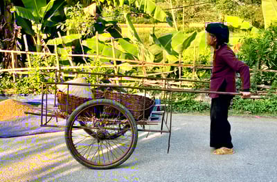 a woman in a purple jacket is pulling a cartonce