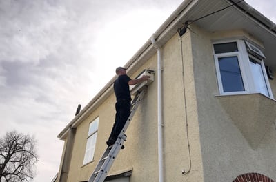 Installing swift nesting box