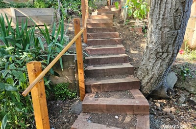 a wooden redwood pathway in a garden beside a tree
