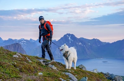 randonnée avec son chien en montagne