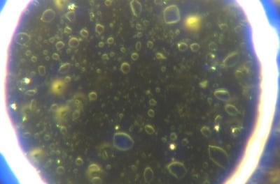 Image: perfect sphere with innumerable smaller micellar spheres growing and replicating from nano to