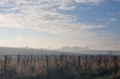 view of Sauternes