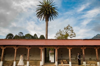 wedding photogrphers antigua. Bride and groom with palm tree