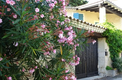 a house with a bunch of flowers on the side of the house