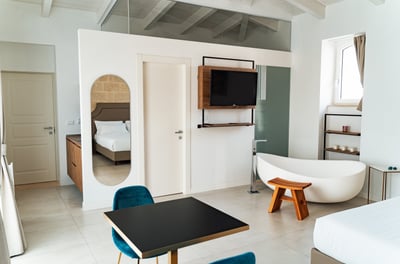 Luxury room bedroom with a bathtub and a television