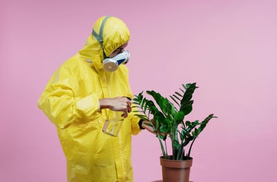 Man in ppe spraying a houseplant