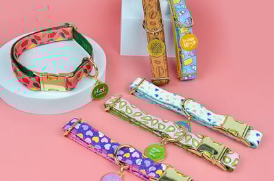 a dog collared collared collared dog collared collared collared collar