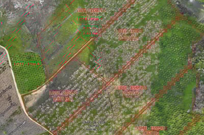 Design of a palm oil cultivation