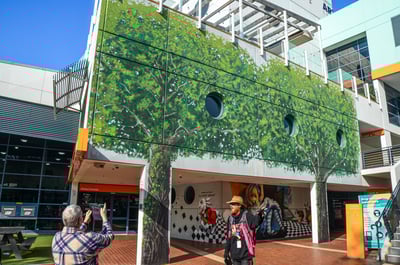 Street art tour in Frankston, artwork by Melbourne's Murals on the library