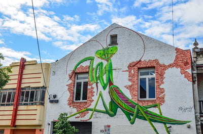 Street art by Buzzard in Fitzroy, Melbourne