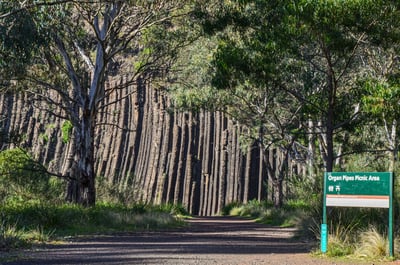 Organ Pipes National Park