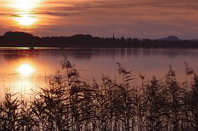 Markelfingen am Bodensee – Sonnenuntergang über dem See mit Schilf im Vordergrund