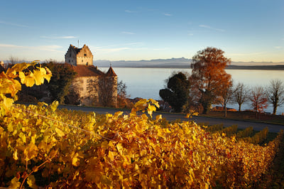 Meersburg - Burg am Bodensee mit goldenen Weinblättern im Vordergrund