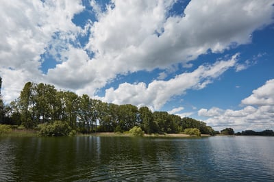Moos am Bodensee - Bäume am Ufer unter blauem Himmel mit Wolken