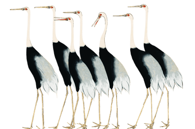 Vintage illustration of a row of seven long-legged cranes, walking in the same direction.