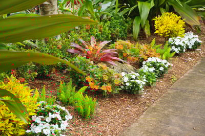 Landscape installation