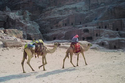 Aventures avec les nomades bédouins en Jordanie – rencontres, traditions et vie dans le désert