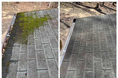 Before and after moss removal from asphalt roof shingles
