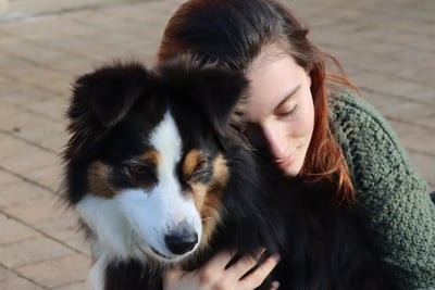 Chien