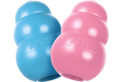 Jouet Kong pour chien