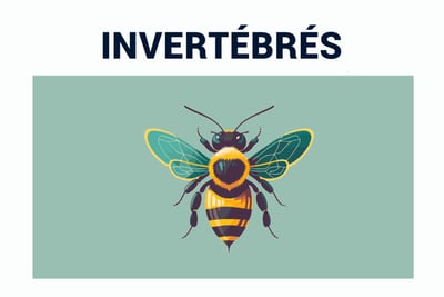 PESTICIDES BIODIVERSITÉ EXTINCTION MASSE INSECTES VER DE TERRE
