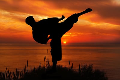 Sunset Karate kick.