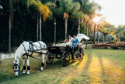 Fotografo de casamento BH