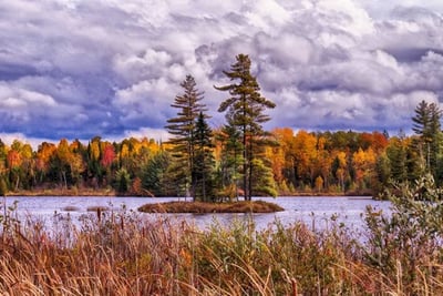 A small island observed in Ontario by Environmental Consultants at Aster Environmental.