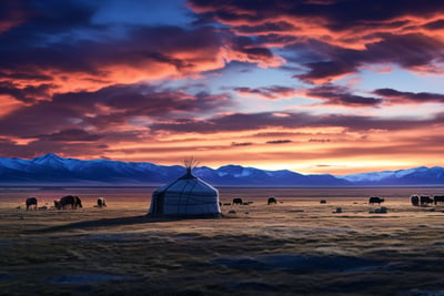 sweeping view of Mongolia's vast plains at sunset