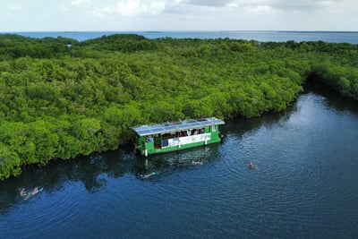 mangrove will evasion voyage france guadeloupe
