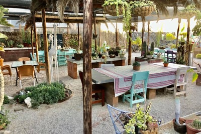 a table with chairs in a succulent cactus garden for tour groups and tourists in uis namibia