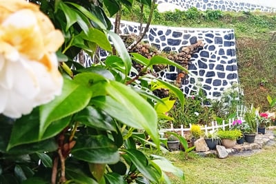 Flower and garden corner at Nobel Bungalow Nuwara Eliya with stone wall decor