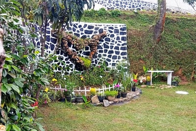 Garden at Nobel Bungalow Nuwara Eliya with Keena plant, flower beds, bench, and decorative pond