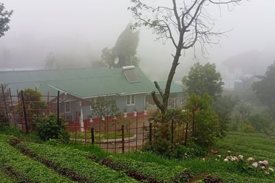 Misty garden and full view of Nobel Bungalow Nuwara Eliya – hillside holiday home in Sri Lanka